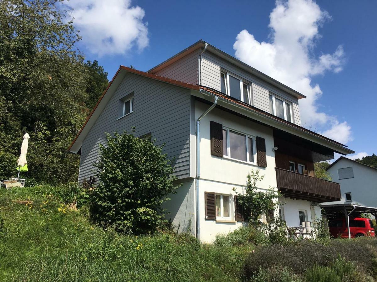 Alpenpanorama Am Hochrhein Βίλα Gailingen Εξωτερικό φωτογραφία
